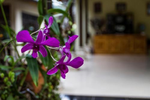 Ubud Tri Upasedana House 2 Tegallalang  Eksteriør bilde